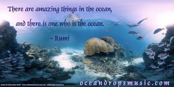 There are amazing things in the ocean, and there is one who is the ocean. #Rumi
