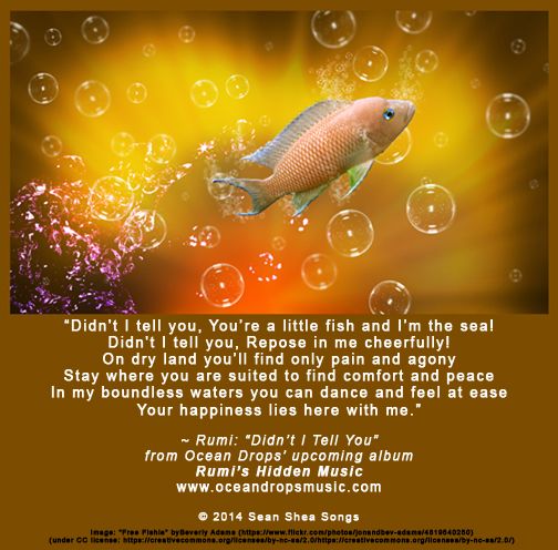 Fish Rumi Ocean Drops Music - Rumi Quotes