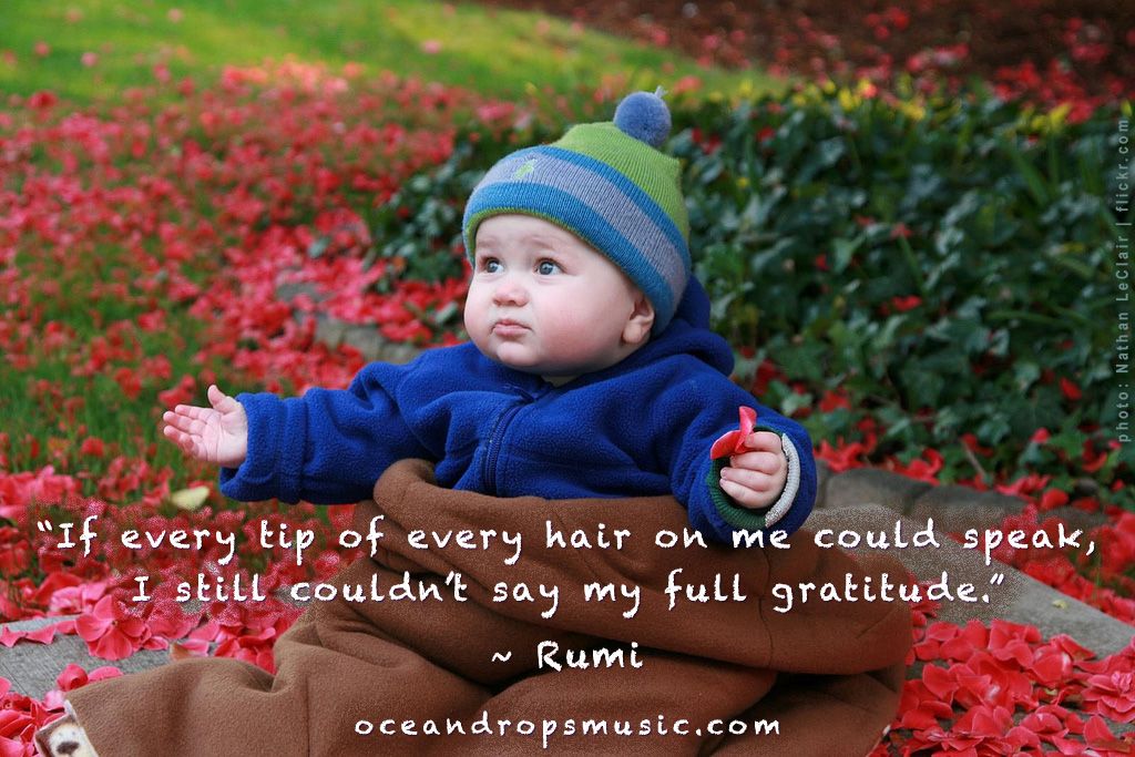 hafiz quotes on gratitude