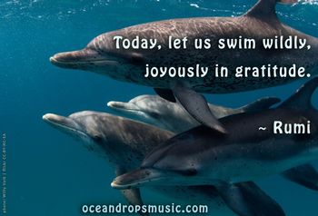 "Today, let us swim wildly, joyously in gratitude."  #Rumi
