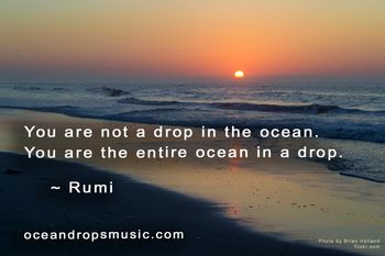 You are not a drop in the ocean. You are the entire ocean in a drop. #Rumi

