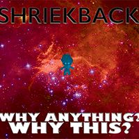 Why Anything? Why This? by Shriekback