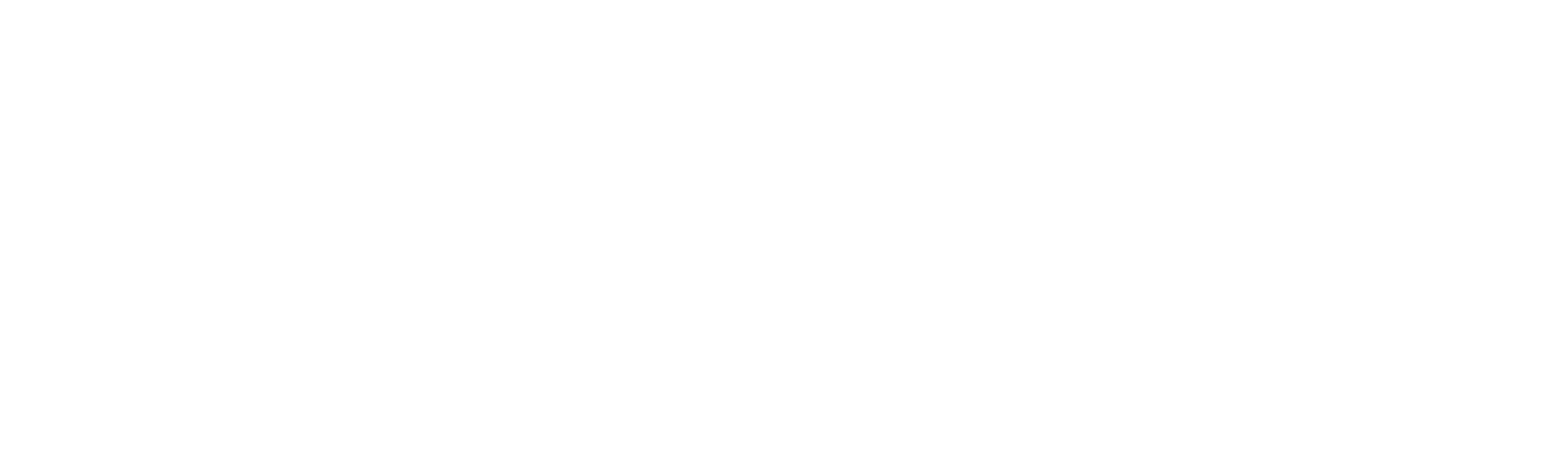 the Fizz Fuzz