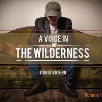 Volume 1 - A Voice in the Wilderness  by David Vaters