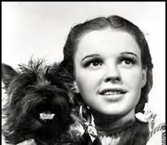 Judy Garland
