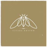 Cicada Rhythm  by Cicada Rhythm
