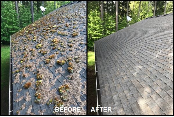 Moss and Roof Debris Removal