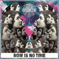 Now Is No Time by Sky Urchin