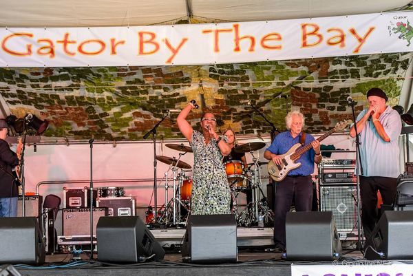 'Annette McGee and the Lance Dieckmann Band' at Gator by the Bay 2014