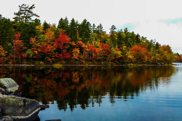 Fall scene in Halifax