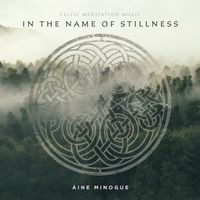 In the Name of Stillness by Áine Minogue