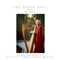 The Seven Joys of Mary  by Áine Minogue