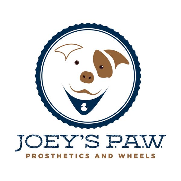 Prosthetics and Wheels for Disabled Animals.