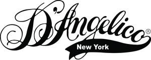 Jessica Lynn and her band proudly endorse D'Angelico Guitars.