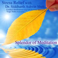 Stress Relief With Dr. Siddharth Ashvin Shah - Guided Meditation and Yoga Nidra Relaxation by Splendor of Meditation