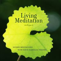 Living Meditation Vol. II - Guided Meditations With David Harshada Wagner by Music for Deep Meditation