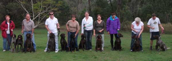 The Gillbrae Lure Coursing Team