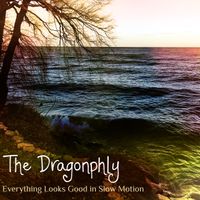 Everything Looks Good in Slow Motion by The Dragonphly       TPK