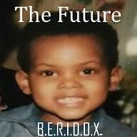 The Future - Single by Beridox
