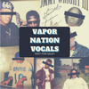 Vapor Nation Phonk Vocal [Promo Use Only]
