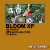 Bloom XP for Initial Audio Sektor Bundle