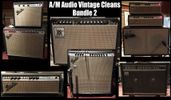 A/M Audio Vintage Clean Bundle 2