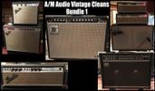 A/M Audio Vintage Clean Bundle 1