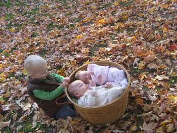 That's Avery on the far side of the basket. Her basketmate is cousin Eli, and Eli's brother, Jack, watches from the outside.
