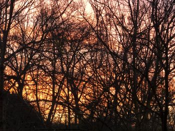 A Winter's Sunset

