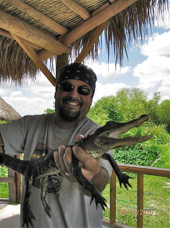 Wrestling an alligator in The Everglades, FL.
