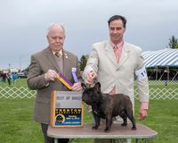 Tai Best of Breed Trenton Kennel Club 2014