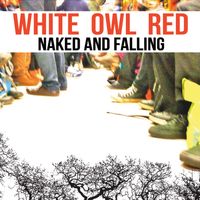 Naked and Falling by White Owl Red