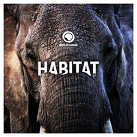 HABITAT - LP - VOL 4 by VARIOUS ARTISTS