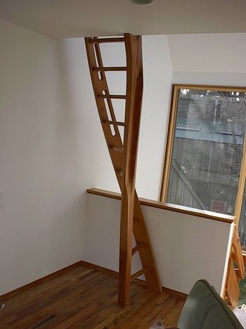 Twisted ladder 1
