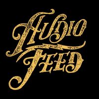Todd Anthony Joos and The Revelators Live at Audiofeed 2022