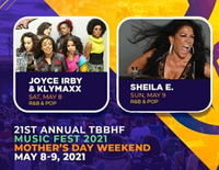 Tampa Bay Black Heritage Festival