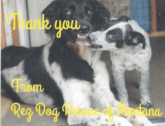 Helena Montana Kennel Club Promoting responsible dog ownership through