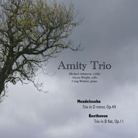 Mendelssohn: Trio in D minor, Op.49 / Beethoven: Trio in B flat, Op.11 by Amity Trio
