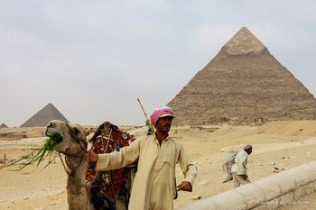 A Man And His Camel At Khufu
