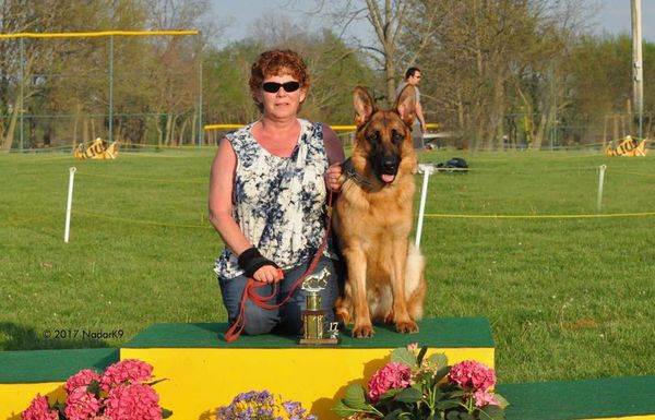 GSDCA Universal Sieger Show
April 14-16, 2017
9-12 month Stock Coat Male 
VP2 Rating