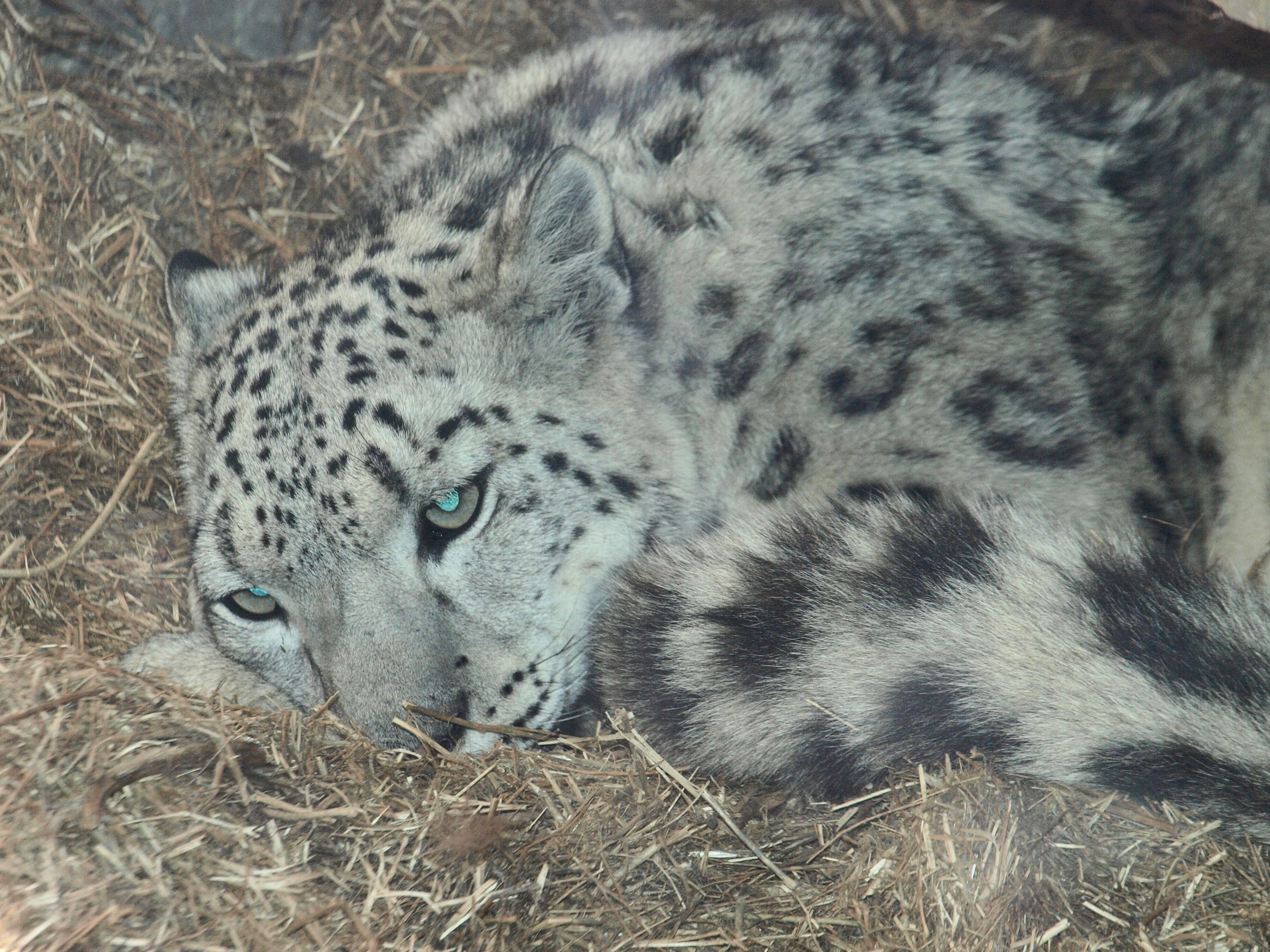 CALGARY ZOO, ALBERTA, CANADA - 15 FAVOURITE PHOTOGRAPHS