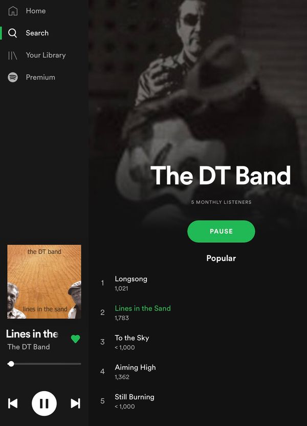 Follow and Stream The DT Band on Spotify