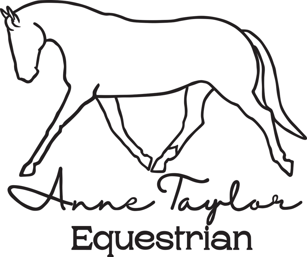 Anne Taylor Equestrian