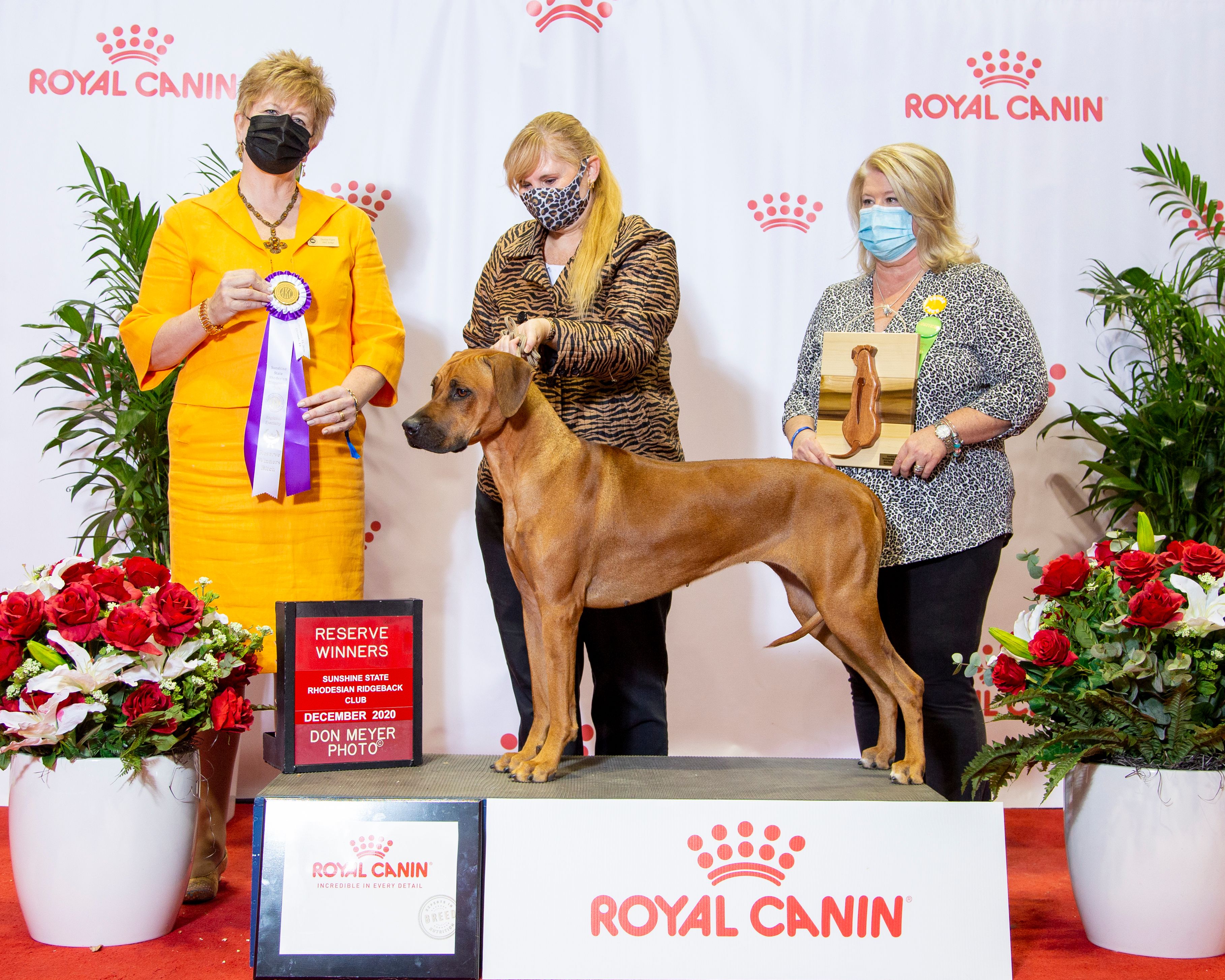 National dog show rhodesian hot sale ridgeback