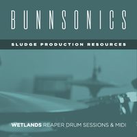 Wetlands Drum Session & MIDI
