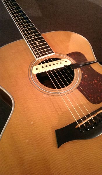 Taylor 414 with LR Baggs
