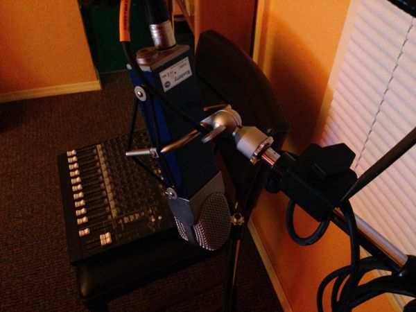 BLUE Blueberry Microphone.  A detailed vocal mike with low proximity effect that makes vocals sit pretty in the mix. 
