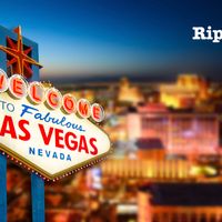 Vegas Days Vegas Nights by Dr. Rip