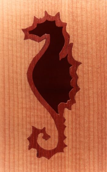 Crying Seahorse detail sound hole
