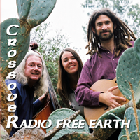 Crossover by Radio Free Earth